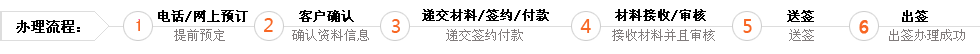 签证办理流程
